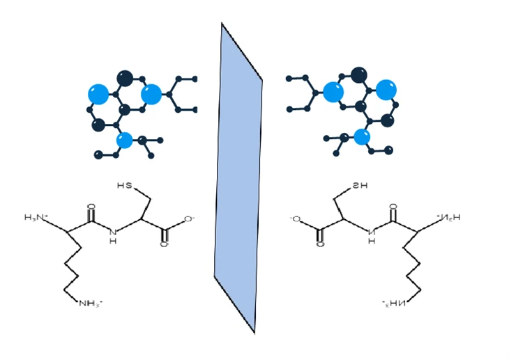 Peptidy D-aminokyselin