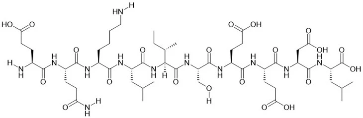Myc epitopový peptid