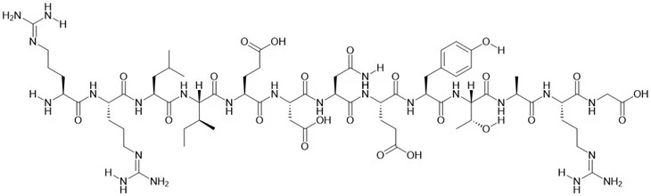 Pp60(v-SRC) autofosforylační místo, protein tyrosinkinázový substrát