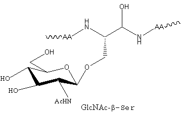 product-362-228 product-362-228