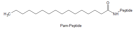 product-473-108 product-473-108