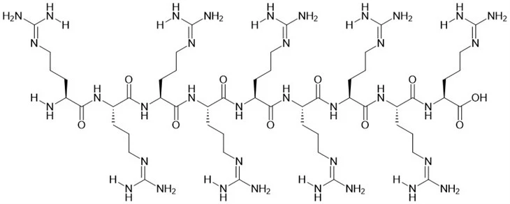 Peptid R9