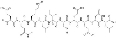 Myc epitopový peptid