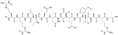 Pp60(v-SRC) autofosforylační místo, protein tyrosinkinázový substrát