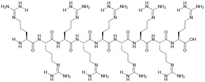 Peptid R9